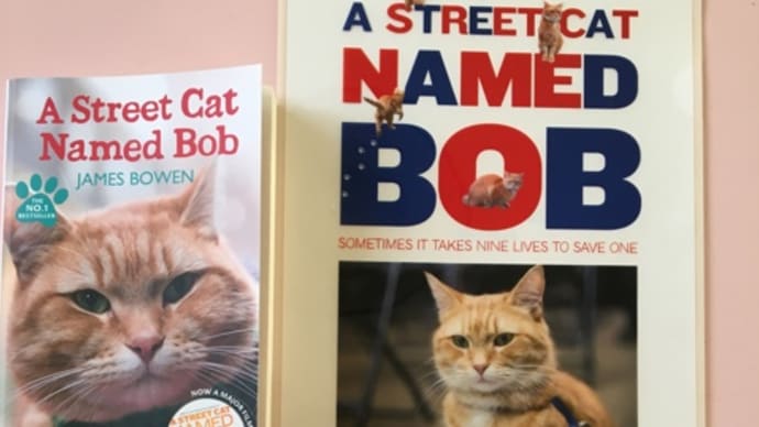 ボブという名のねこの続編映画の告知がありました