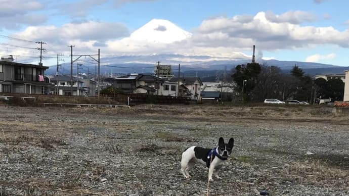 昨日の雨で富士山は真っ白に