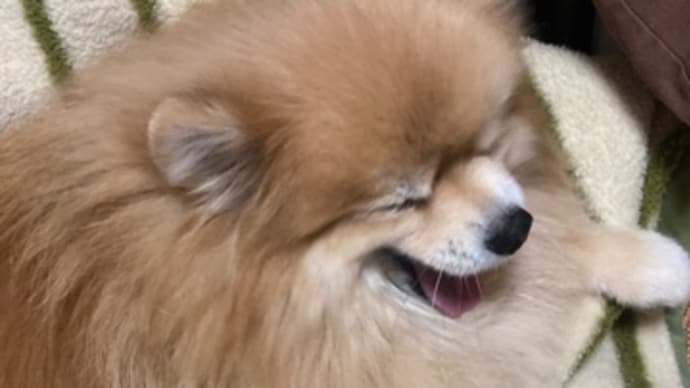 躁と痛みの関係?