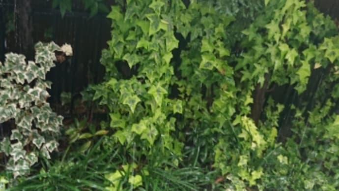 休日に雷雨