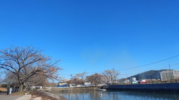 冬晴れ