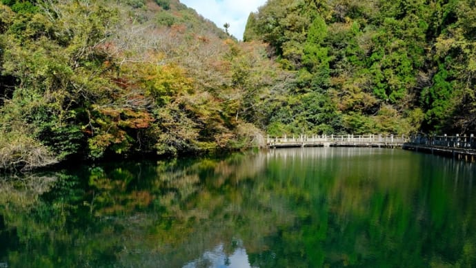 もみじ池と酒波寺（滋賀県の紅葉を訪ねて）