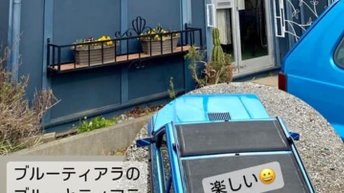 地域猫と熊猫(パンダ)