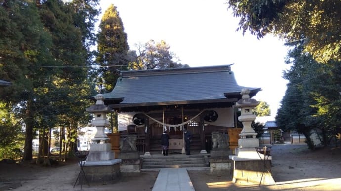 平柳　星宮神社（栃木市）