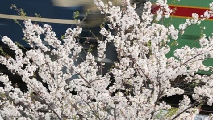 特措法発令の前日に思う事
