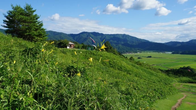 船平山のユウスゲ