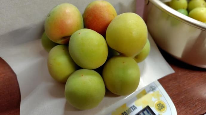 うめ仕事