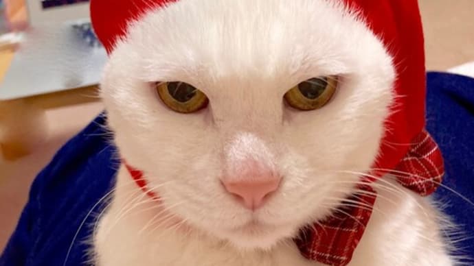 12月24日 メリークリスマス☆2021