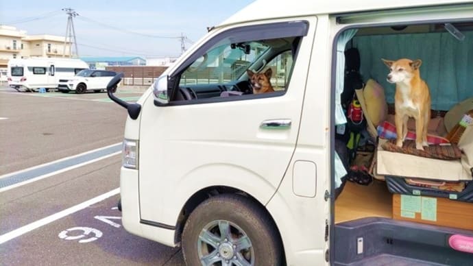 温泉RVパークでワンコと車中泊♪その2