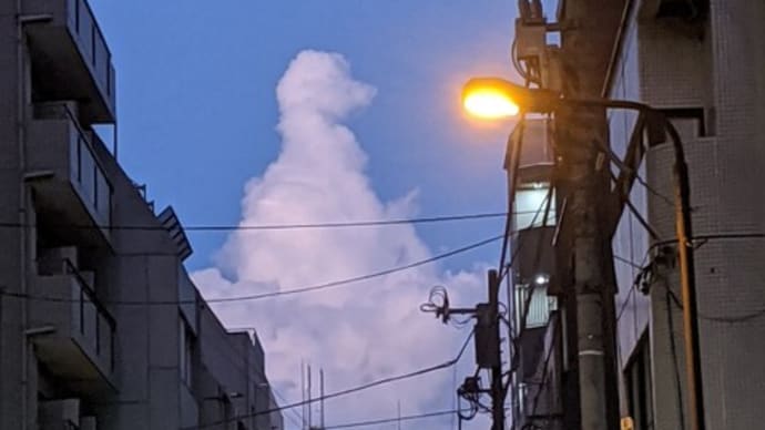 ソフトクリームのような雲だ。