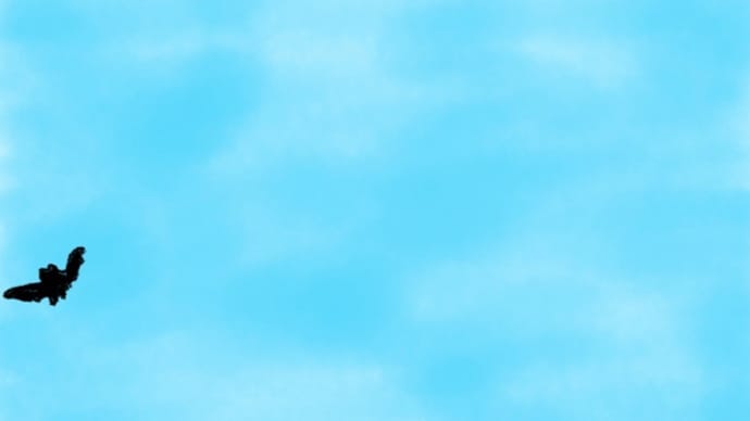 青空の下