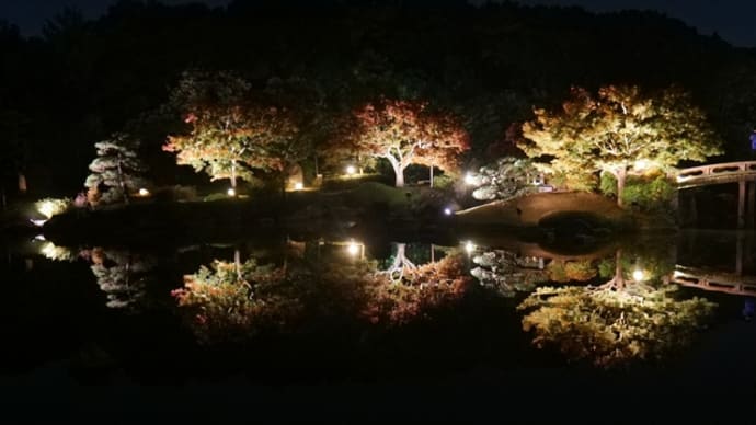 大仙公園 日本庭園ライトアップ(2024年11月16日)