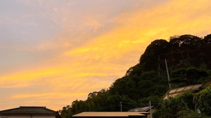ランナー増員☆