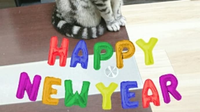2022年始まりました