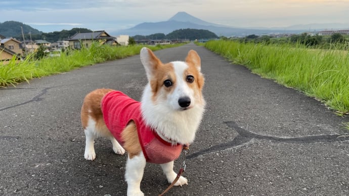 ☆8月最後の週末☆