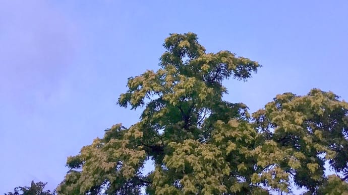 深夜のつぶやき 。。 【 新月に向かって 】
