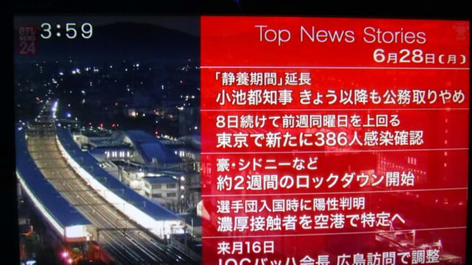 閑雲野鶴日記 2021年(令和3年)6月28日 月曜日 「にわとりの日」