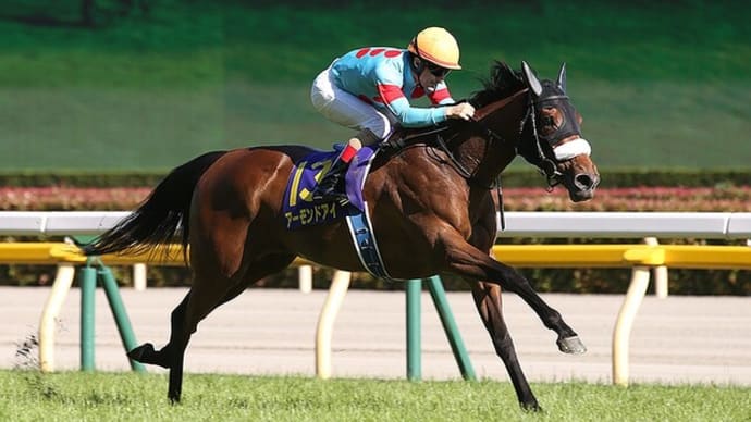 【予想】 第80回 優駿牝馬 G1