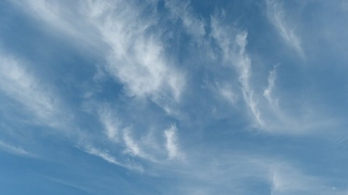 注意が必要なのはお散歩だけでなく