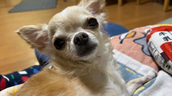 食っちゃ寝食っちゃ寝💤