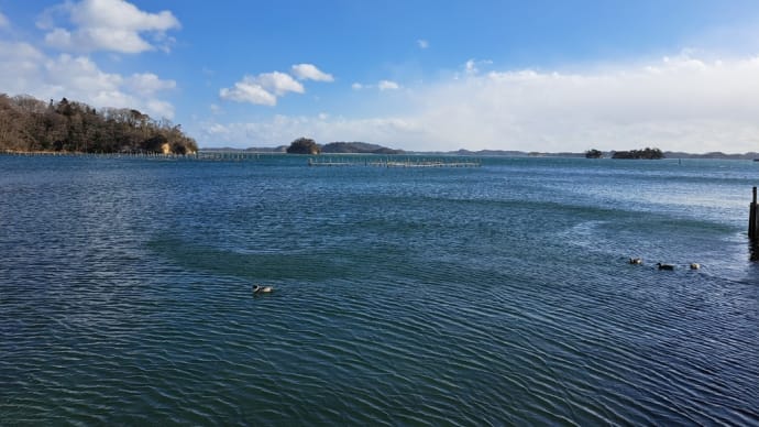 今季最後の松島牡蠣