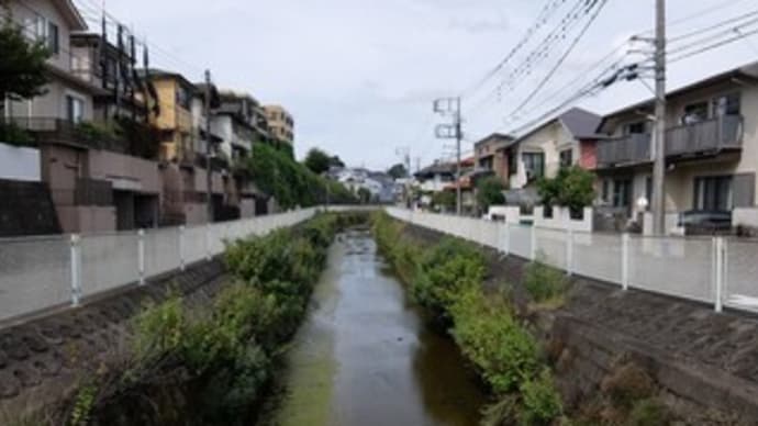2024神奈川河川ﾎﾟﾀﾘﾝｸﾞ『川崎３川巡り』⑥片平川ポタリング