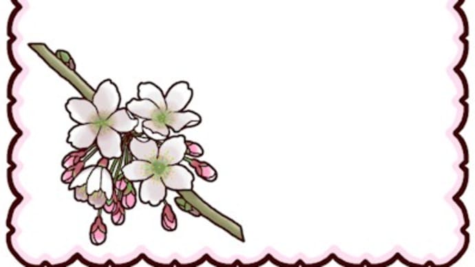 サクラ(桜)(花/枠・ふきだし)
