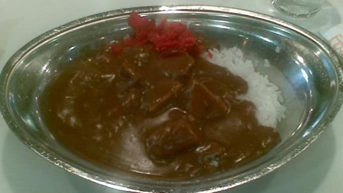 201 カレーシリーズ⑰ ワンコインカレー12 帯広のインデアンカレー!!