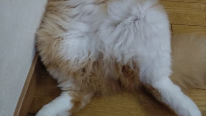 あらわざ。