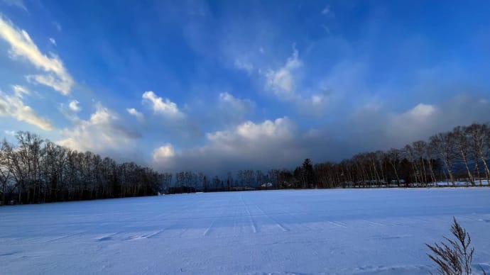 2022/12/04 雪