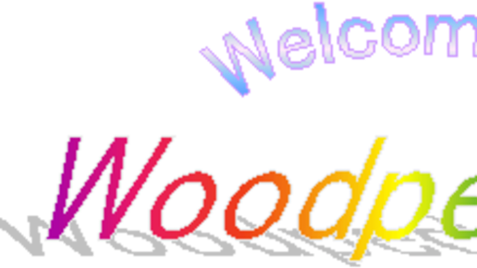Woodpeckerな日