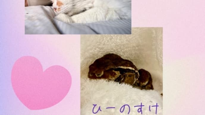 反省