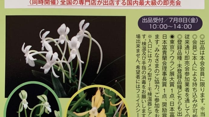 東京フウラン展、3年ぶりに開催へ