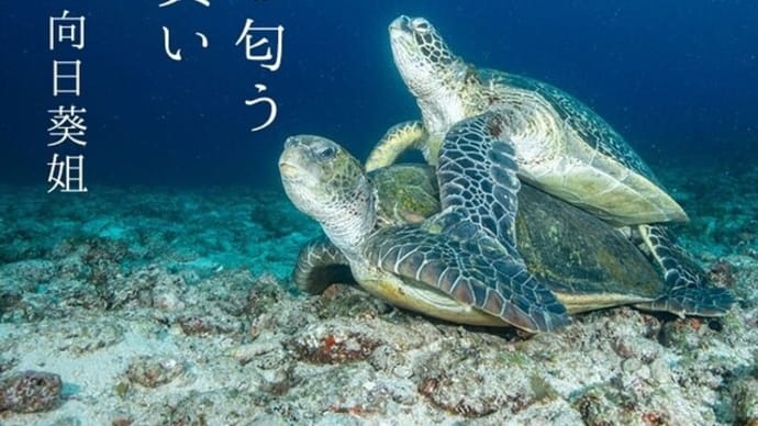 俳句生活~よ句もわる句も~