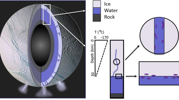 エンケラドスの氷殻の秤動加熱と熱状態の調査