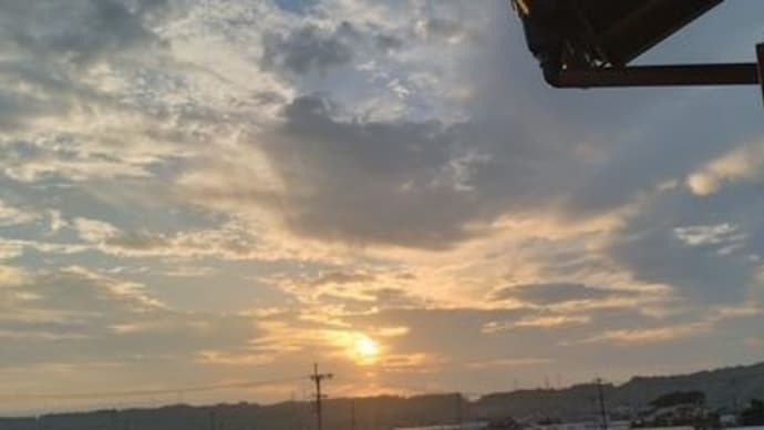 可愛い孫たちの為に