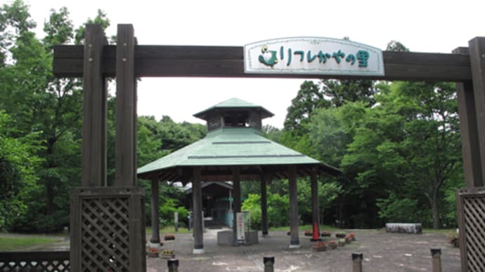 2019 宮津・天橋立帰省日記10 リフレかやの里(京都府与謝郡)で和ランチビュッフェ