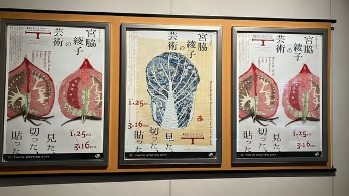「生誕120年 宮脇綾子の芸術 見た、切った、貼った」東京ステーションギャラリー