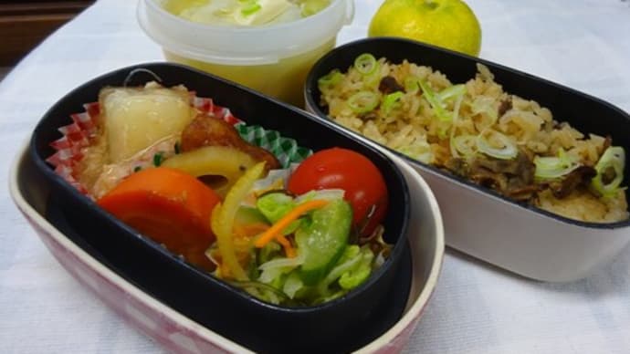 牡蠣ご飯のお弁当と、尾瀬Part.2