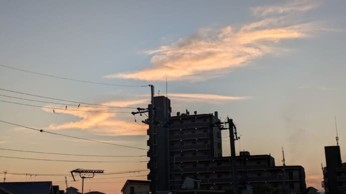 へその緒