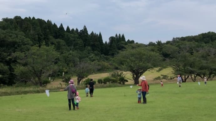 2022年8月30日（火）森の木の子『虫がたくさん大森山公園』