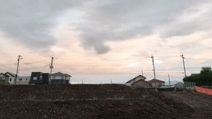 やっと雨が上がりました