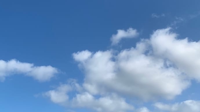走りたかったなぁ…