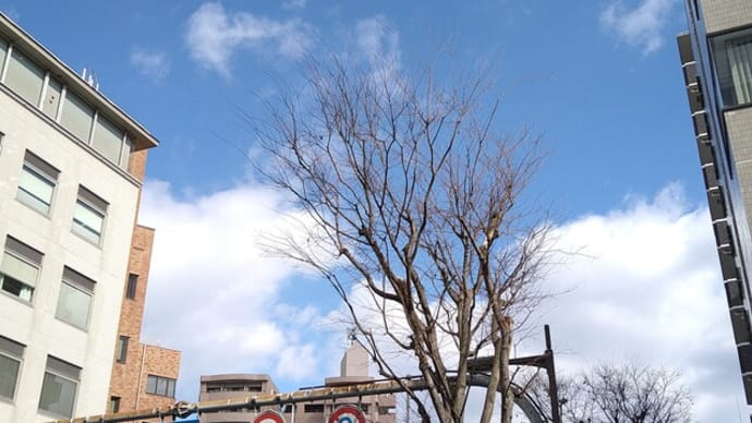 明日は 飾り卸!