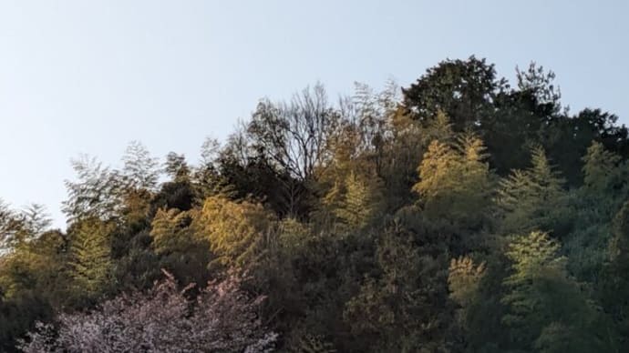 木花開耶毘売神の言葉 午後からの方が寒くなりました