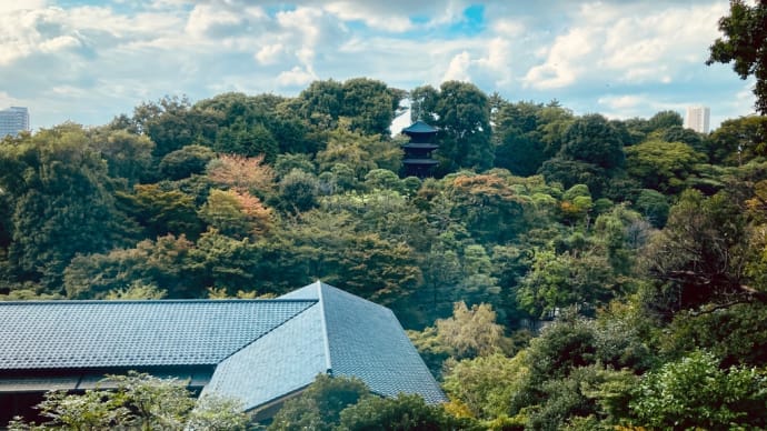 ウォーキング 椿山荘・目白台
