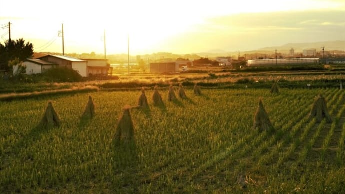 田園風景の話しの続き