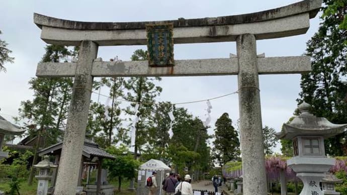 今がちょうど見頃のお花