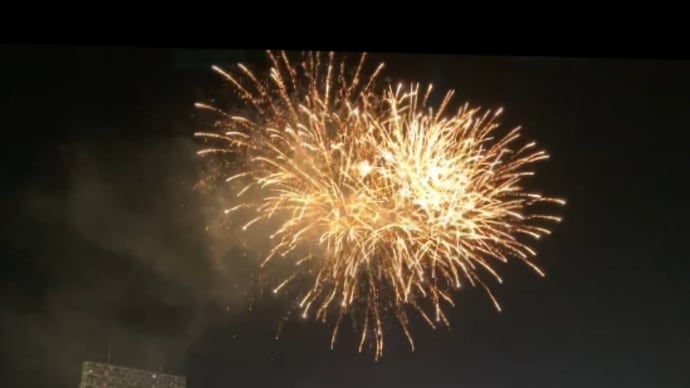夏休み1週目 🌻 神宮で野球観戦、外食デビューと無駄遣い