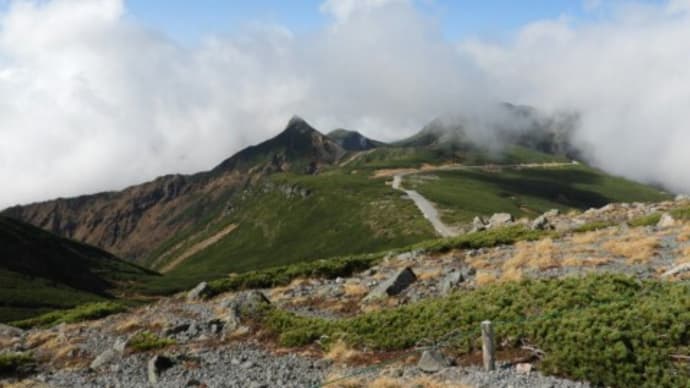 乗鞍岳 大黒岳山頂で雷鳥にばったり!